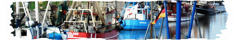 Dorumer Hafen